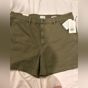 Wonderly Olive Green High-Waist Cotton Shorts